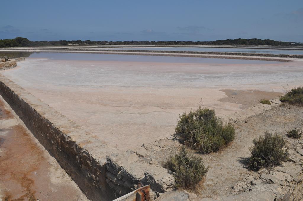Viviendas Turisticas S'Estanyol La Savina (Formentera) Exterior foto